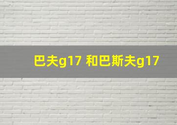 巴夫g17 和巴斯夫g17